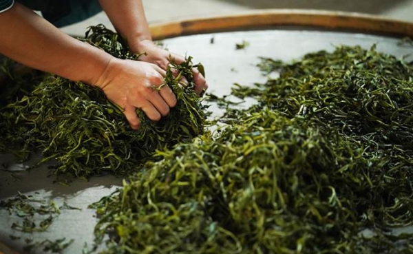 Нарколог объяснила, чем опасно «чайное опьянение» Нарколог объяснила, чем опасно «чайное опьянение»