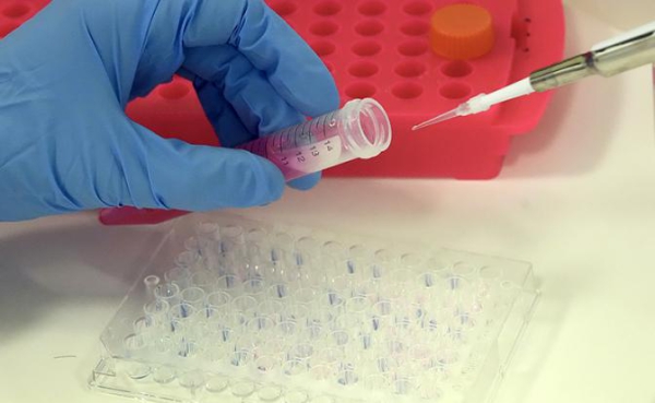 Стало известно, когда в РФ появится экспресс-тест для выявления рака Стало известно, когда в РФ появится экспресс-тест для выявления рака