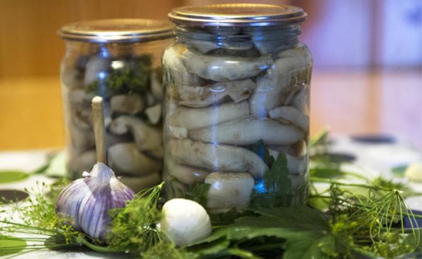 В России юноша едва не умер, поев соленых грибов В России юноша едва не умер, поев соленых грибов