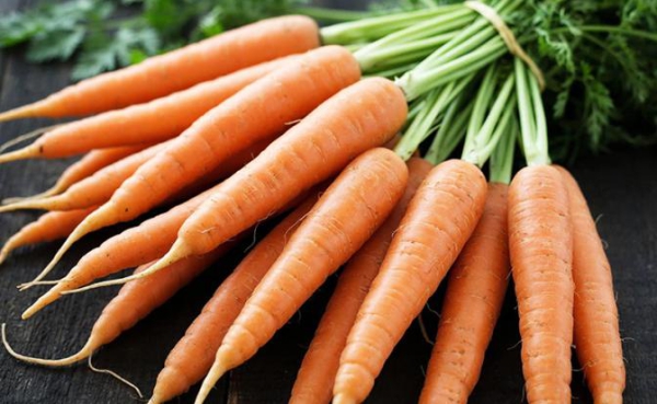 Выяснилось, кому нельзя есть морковь Выяснилось, кому нельзя есть морковь