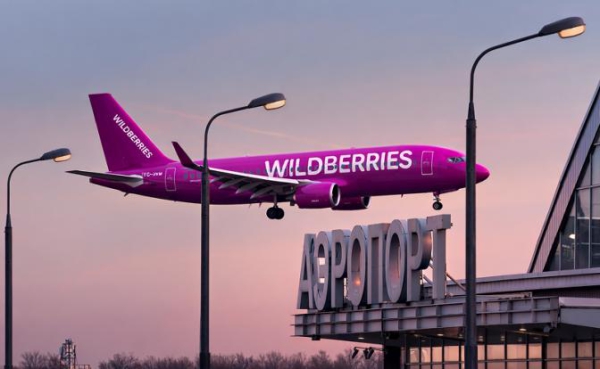 Маркетплейсы рвутся небо&nbsp;&mdash; у Wildberries могут вырасти собственные крылья