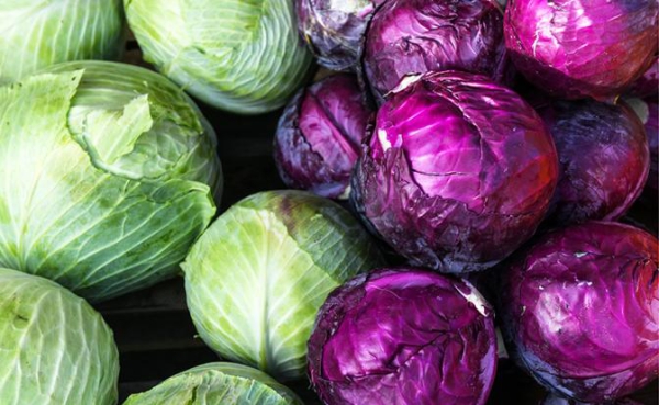 Озвучена опасность капусты