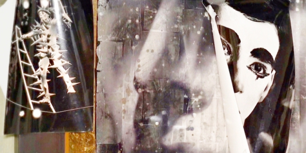 Защищает от рака: Мясников назвал самую полезную рыбу Защищает от рака: Мясников назвал самую полезную рыбу