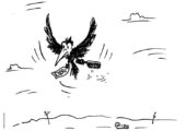 История одной массажной щетки для волос: Жизнь во время санкций