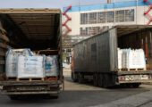 Азотно-фосфорная бомба: Европа в шоке от цен на удобрения. Но почему в шоке и российские фермеры?