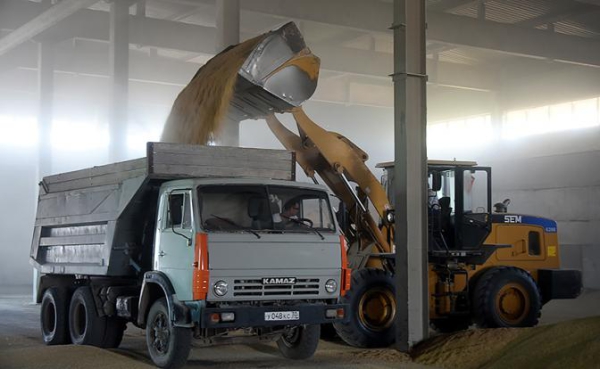 Для продовольственной безопасности страны главное — избежать соблазна вывезти всё Для продовольственной безопасности страны главное — избежать соблазна вывезти всё