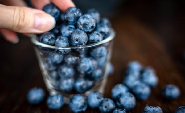 Офтальмолог опровергла устойчивое мнение о пользе черники для зрения