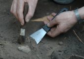 Найден важный ключ к ранней истории жизни животных на Земле