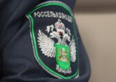 Россельхознадзор: Армения должна приостановить сертификацию рыбы для экспорта в РФ