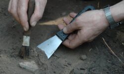 Обман, каналья! Эксперты не подтвердили, что найденные в Маастрихте останки принадлежат д’Артаньяну