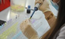 Тщательный анализ ДНК переписал историю известного шамана: оказался женщиной