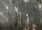 Открыта способность бактерий-спасателей превращать токсичный уран в безвредный минерал