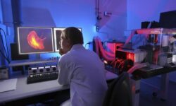 Самые старые в мире выращенные в лаборатории человеческие мозги зафиксировали «течение времени»