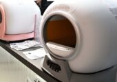 В России изобрели «умный» лоток для утилизации отходов собак