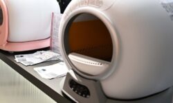 В России изобрели «умный» лоток для утилизации отходов собак