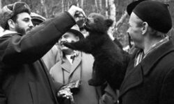 Нутрициолог назвала овощ, защищающий от Паркинсона