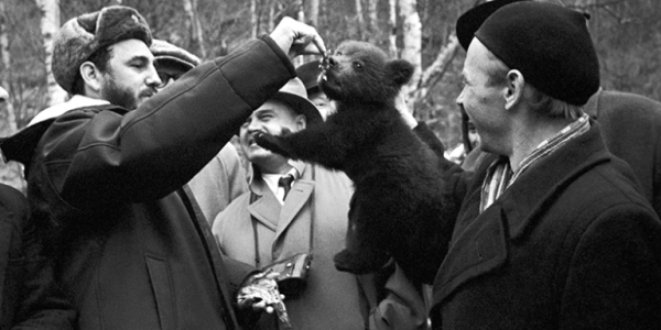 Нутрициолог назвала овощ, защищающий от Паркинсона