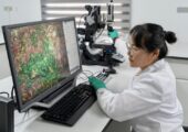 Обнаружен грибок в человеческом кишечнике, способный защитить от радиации