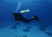 Обнаружено загадочное затонувшее судно возрастом 2400 лет: полно древних артефактов