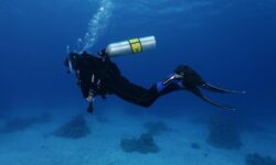 Обнаружено загадочное затонувшее судно возрастом 2400 лет: полно древних артефактов