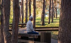 Ключевые этапы: учёные нашли два переломных для развития мозга возраста