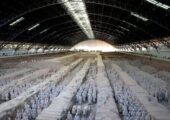 Женщины и дети создавали знаменитую китайскую терракотовую армию