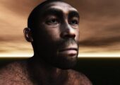 Учёные реконструировали лицо древнейшего из известных представителей Homo sapiens