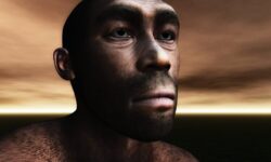 Учёные реконструировали лицо древнейшего из известных представителей Homo sapiens