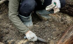 Древнеримский Лас-Вегас археологи обнаружили в тихой деревушке