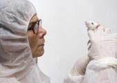 Ученые начали работу по моделированию условий дальнего космоса при помощи ускорителя NICA