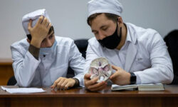Причуды высшего образования: В медвуз — охотно, а вот врачом-специалистом становиться — дураков нет