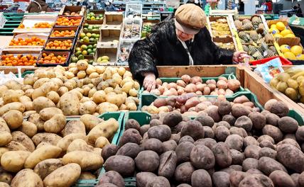 «Это какой-то позор, товарищи!». Цены на картошку в России бьют исторические рекорды
