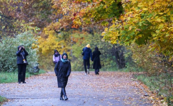 Назван способ успокоить нервы в разгар магнитной бури Назван способ успокоить нервы в разгар магнитной бури