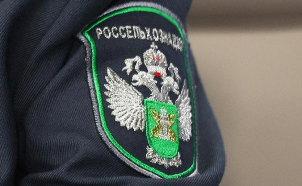 Россельхознадзор: Армения должна приостановить сертификацию рыбы для экспорта в&nbsp;РФ