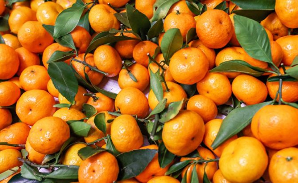 Скоро Новый год: озвучено допустимое количество мандаринов в день Скоро Новый год: озвучено допустимое количество мандаринов в день