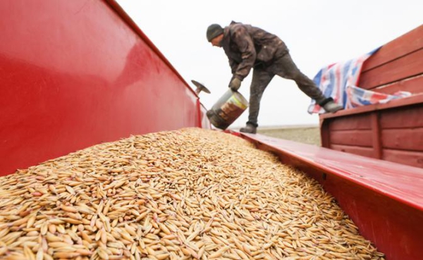Василий Мельниченко: «Духовное возрождение России начнется не в городе, а на селе» Василий Мельниченко: «Духовное возрождение России начнется не в городе, а на селе»