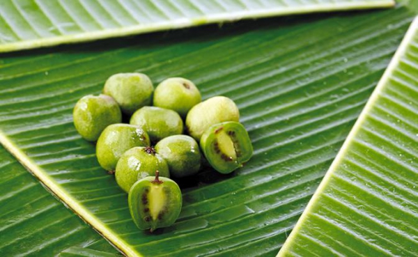 Врач назвал два продукта против рака