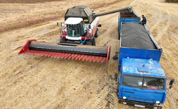 Запорожские фермеры пытаются достучаться до Кремля: «Владимир Владимирович, помогите, у нас все забирают…» Запорожские фермеры пытаются достучаться до Кремля: «Владимир Владимирович, помогите, у нас все забирают…»